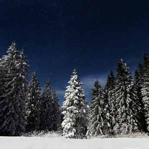 美丽姑娘在线观看免费
