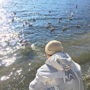 美丽姑娘在线观看免费
