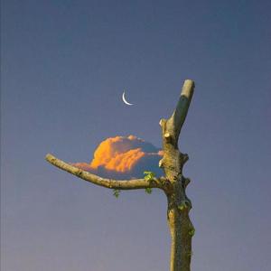 美丽姑娘在线观看免费
